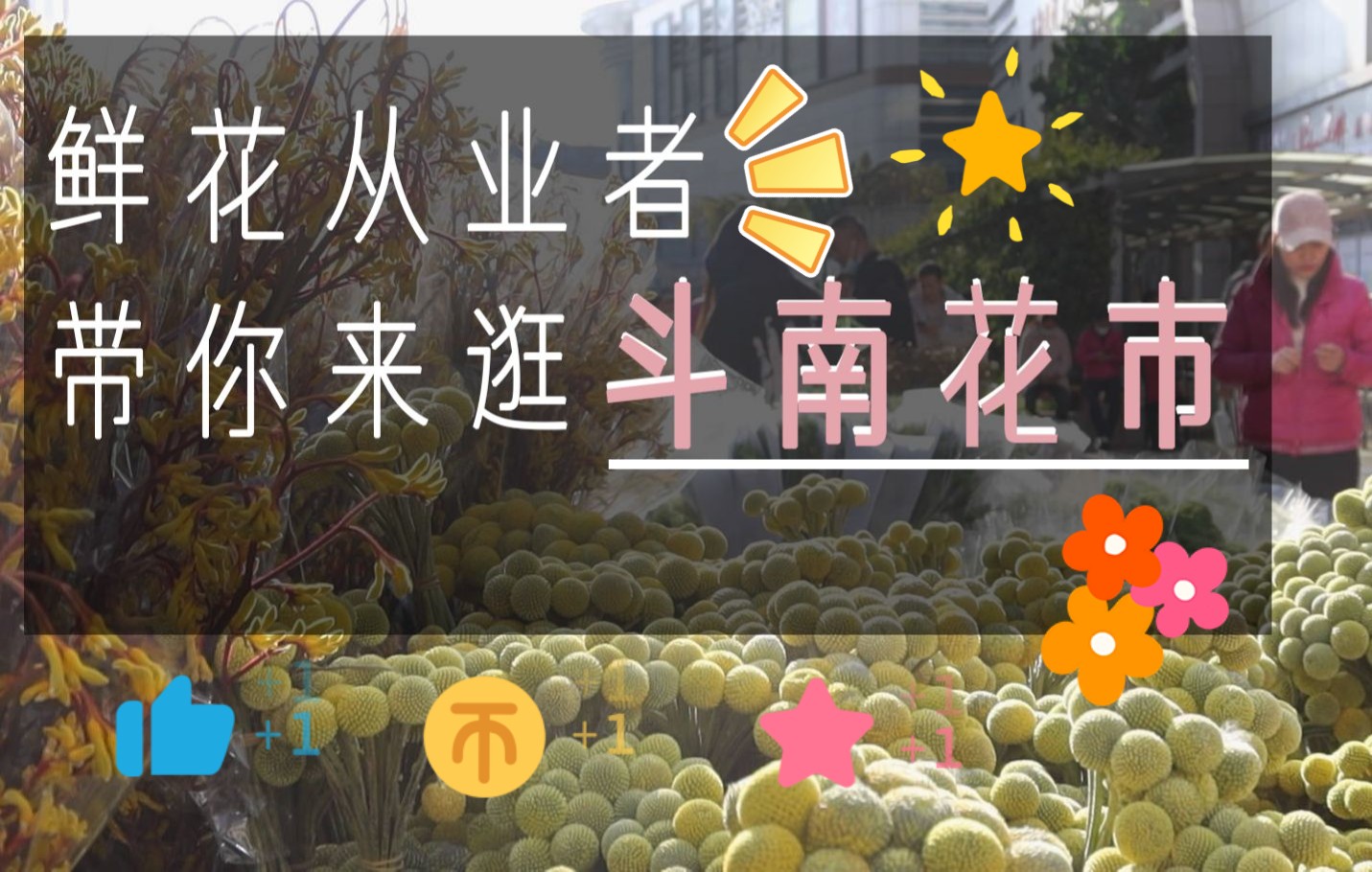 [图]鲜花从业者来带你逛世界第二大花市——斗南花市