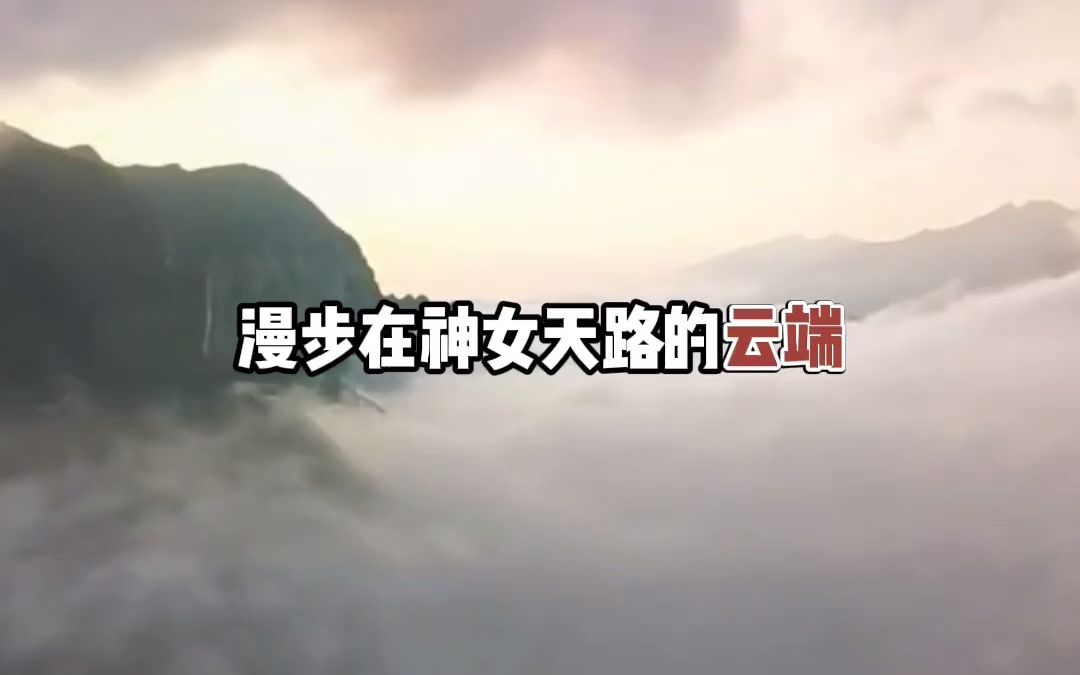 国内最后的秋天,巫山红叶最佳观赏期,户外爱好者快收藏哔哩哔哩bilibili