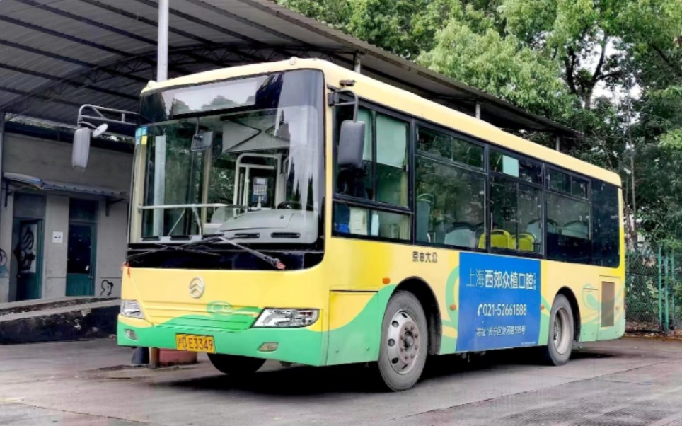 (京申大众)上海华新6路公交车金旅xml6765jhev15c运行实录(新凤中路