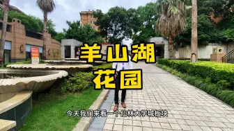 Download Video: 星叶羊山湖花园，这个小区很低调哦#南京买房 #仙林大学城 #羊山湖花园