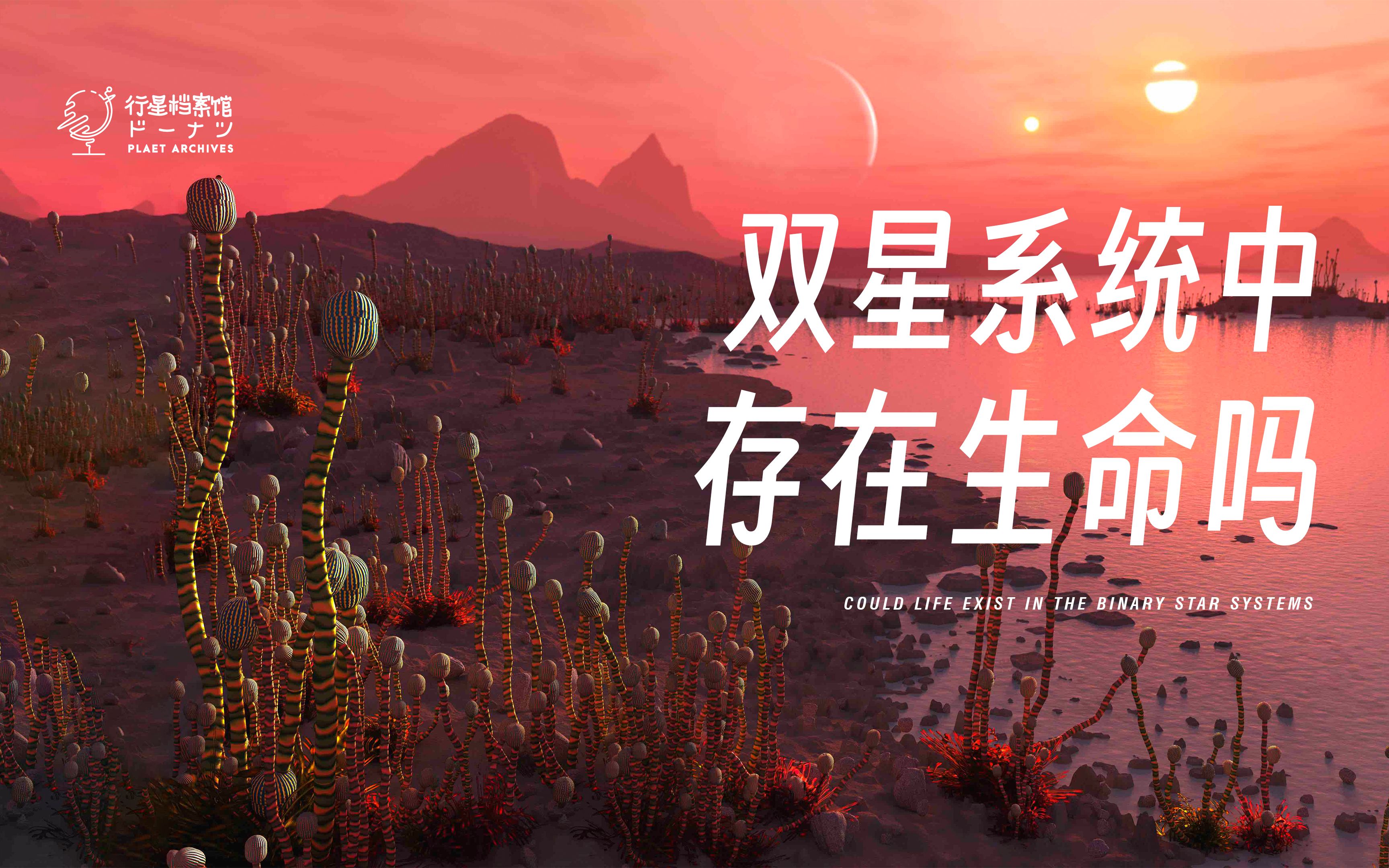 【行星档案馆•深入解析】SPACE ENGINE 双星系统中存在生命吗哔哩哔哩bilibili