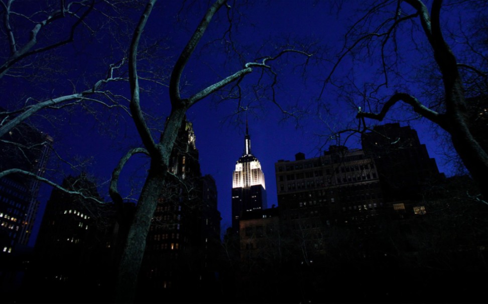 2011年在"地球一小时"前亮灯的纽约帝国大厦 (08 eric thayer