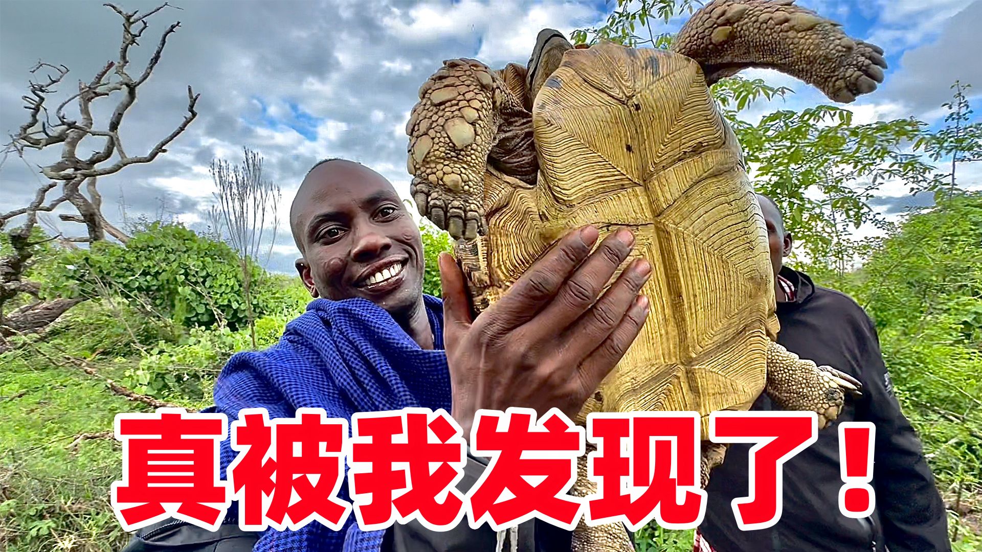 开局高能！部落寻宝突现百年巨龟，周围全是草药，看着真让人兴奋
