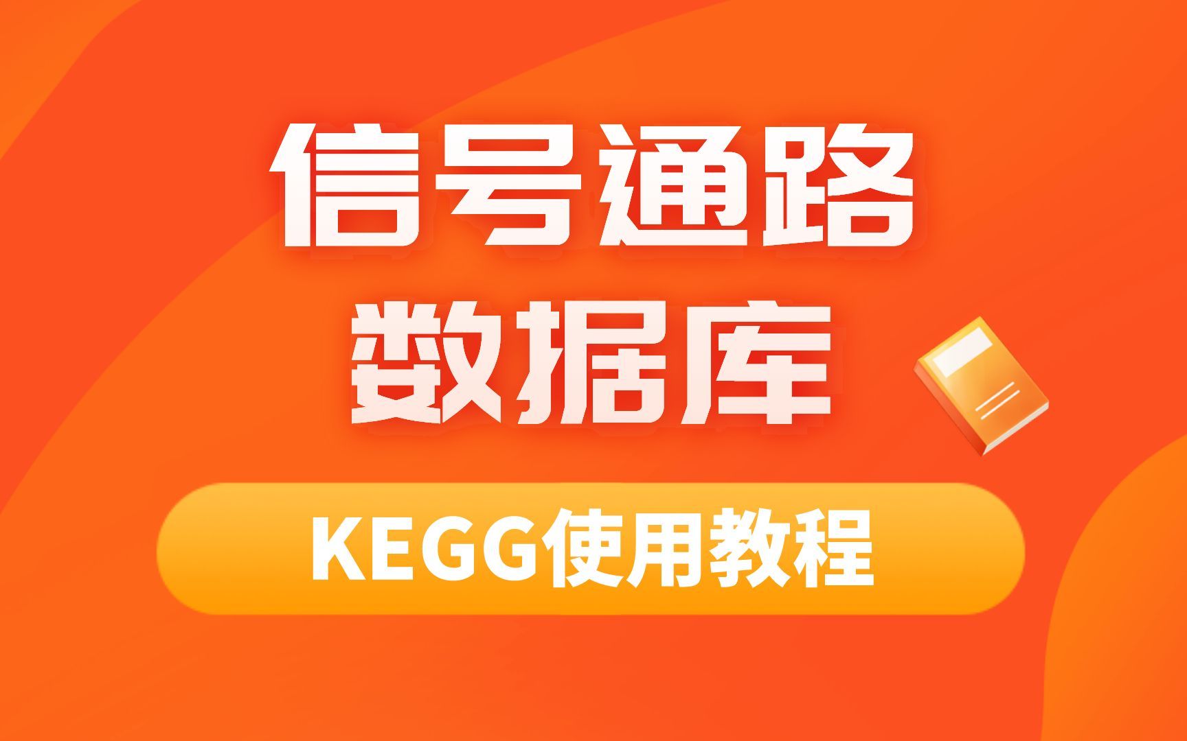 KEGG信号通路数据库使用教程哔哩哔哩bilibili