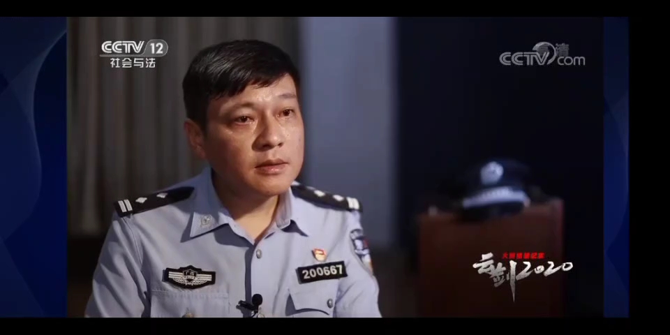 《大案侦破纪实》