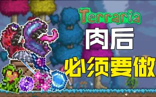 Tải video: 在肉山后你必须要做的！