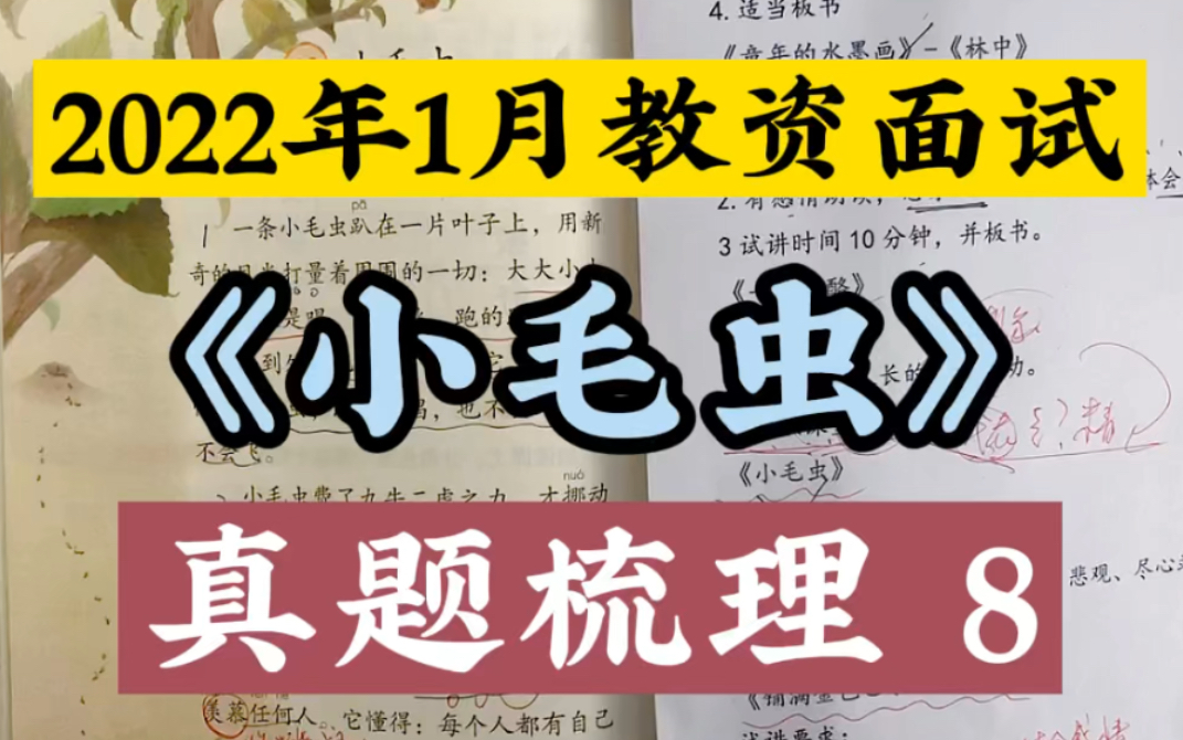 2022年1月教资面试《小毛虫》真题梳理哔哩哔哩bilibili