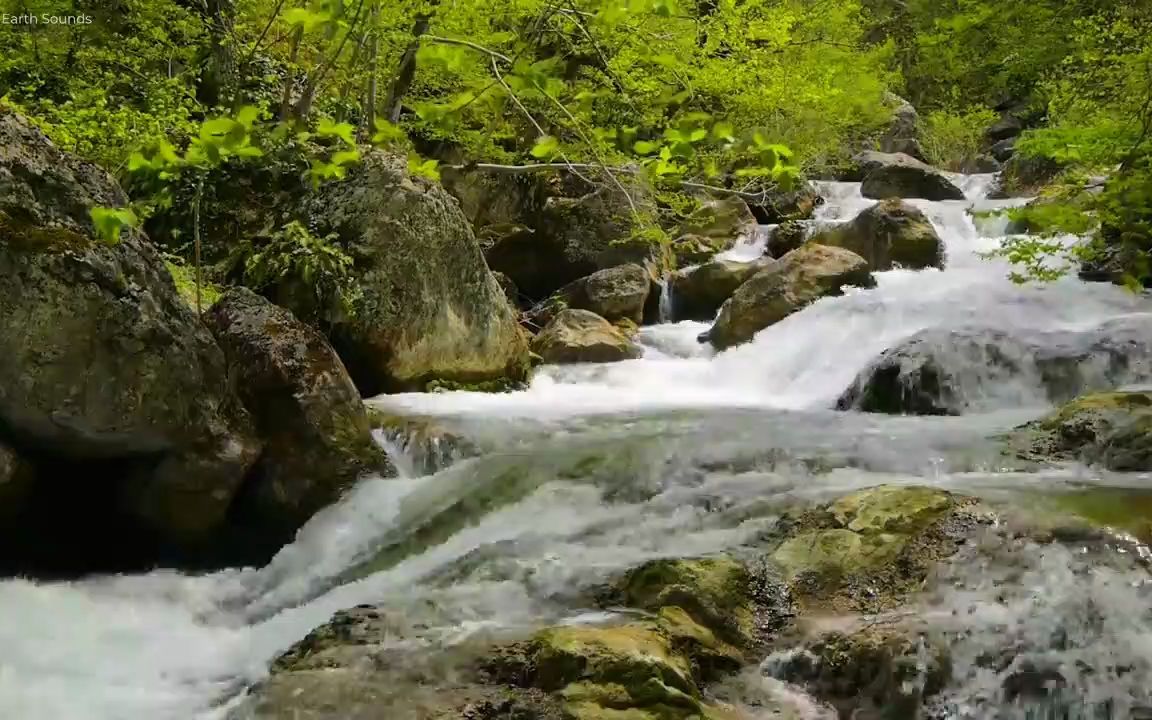 [图]清澈的山林溪流-纯音乐-4K