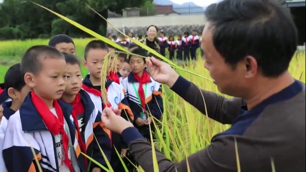 [图]快乐识五谷 从小学惜粮