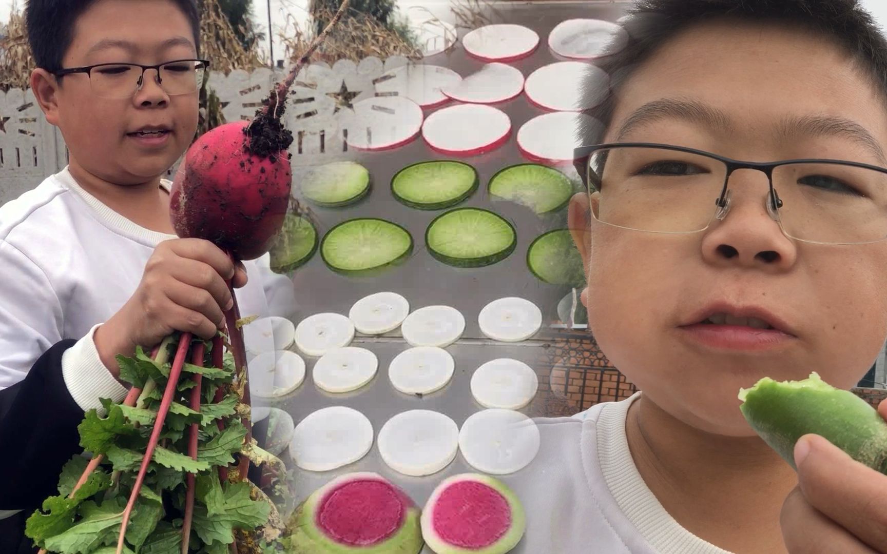 东北一家人"萝卜开会",五颜六色真好看,叶子都不浪费