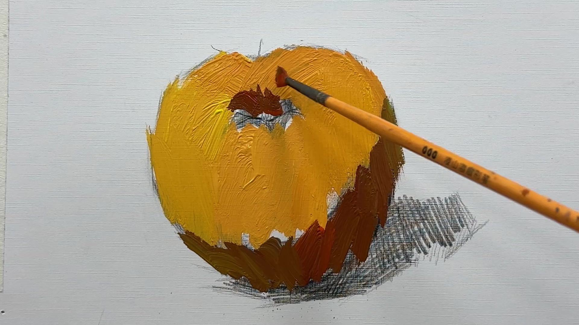 色彩单体 西红柿