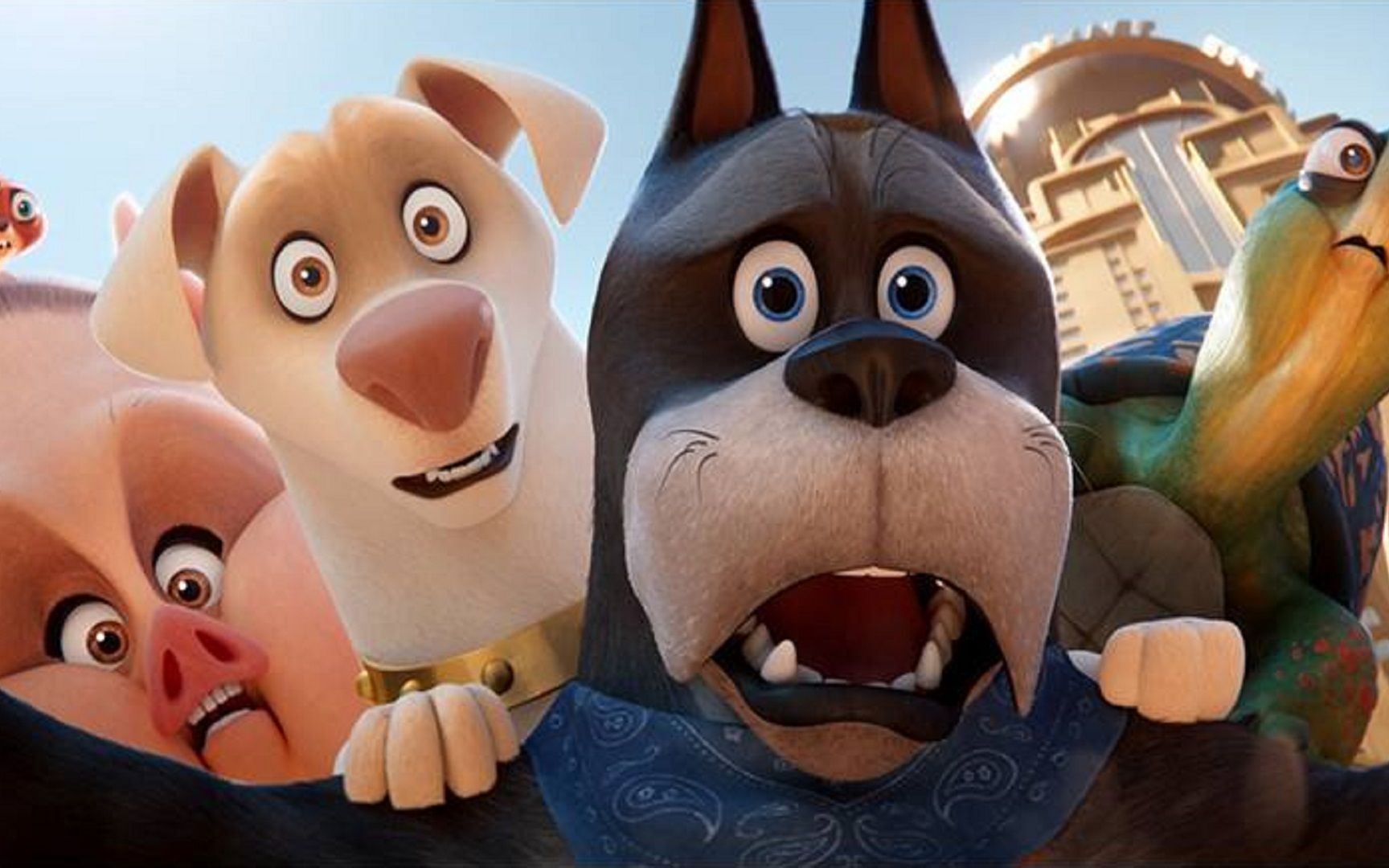 当动物获得超能力,地表最强男人也得靠边站,萌宠来袭请注意!