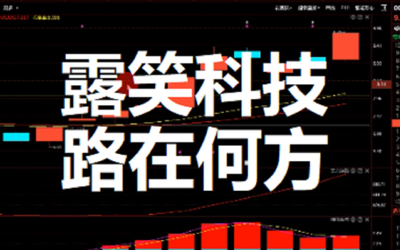 露笑科技| 路在何方?哔哩哔哩bilibili