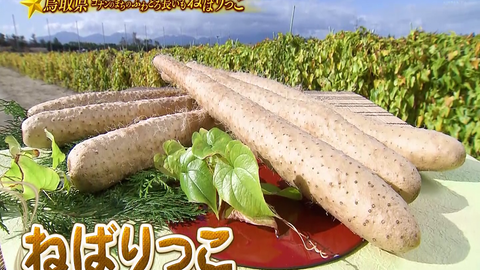 搜索 哔哩哔哩 つロ 干杯 Bilibili 搜索 哔哩哔哩 つロ 干杯 Bilibili