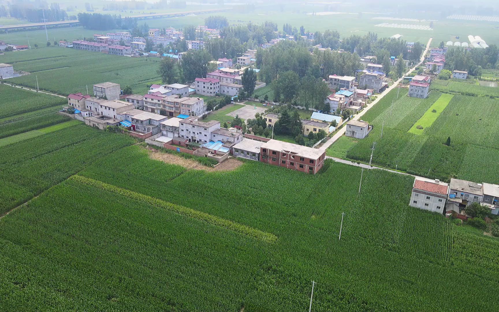 胡腰庄2安徽省阜阳市界首市王集镇东北边