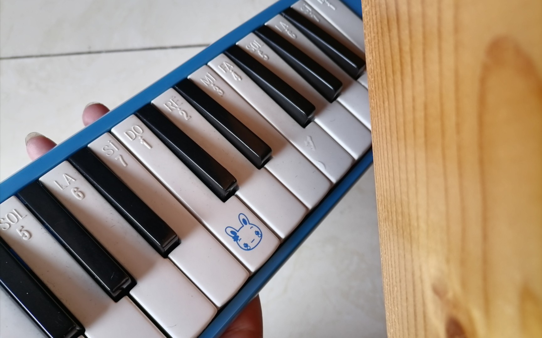 红凯口琴曲口风琴版吹奏