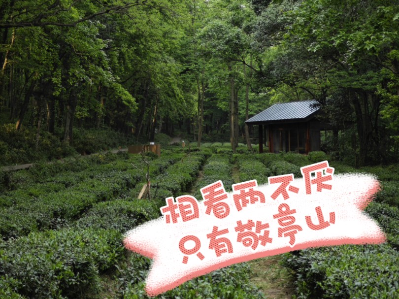 超慢节奏旅行,全公交把自己从南京转运到150公里开外的宣城,小米14ultra手持拍摄哔哩哔哩bilibili