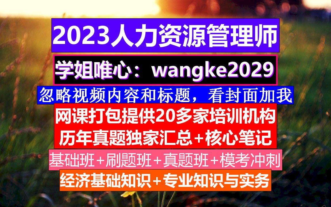 人力资源管理师考证.国际人力资源管理论文,人力资源管理师报考哔哩哔哩bilibili