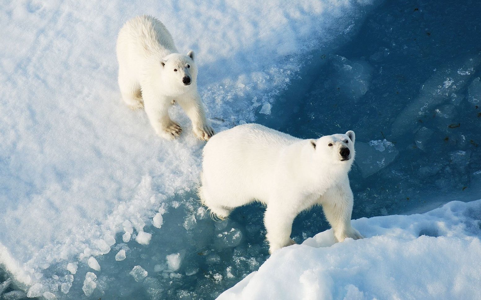 格陵兰岛,Greenland,来自世界尽头的人间仙境哔哩哔哩bilibili