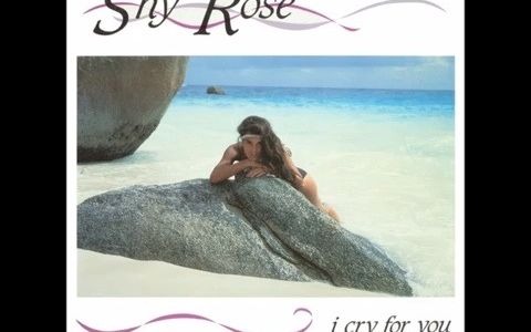 [图]80年代风靡日本的舞曲 Shy Rose - I Cry For You