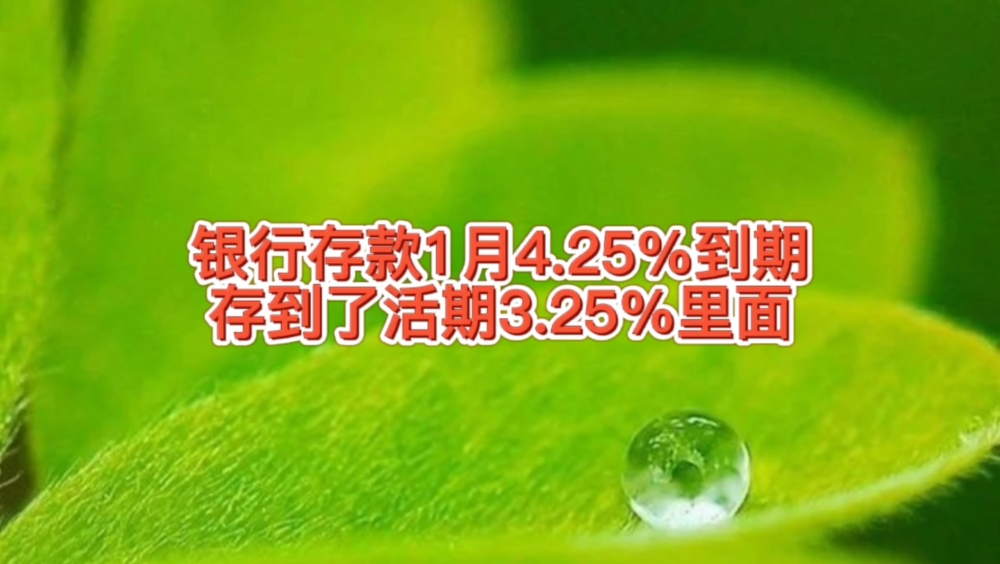 银行存款1月年化利率4.25%到期,存到了活期3.25里面,钱不闲着哔哩哔哩bilibili