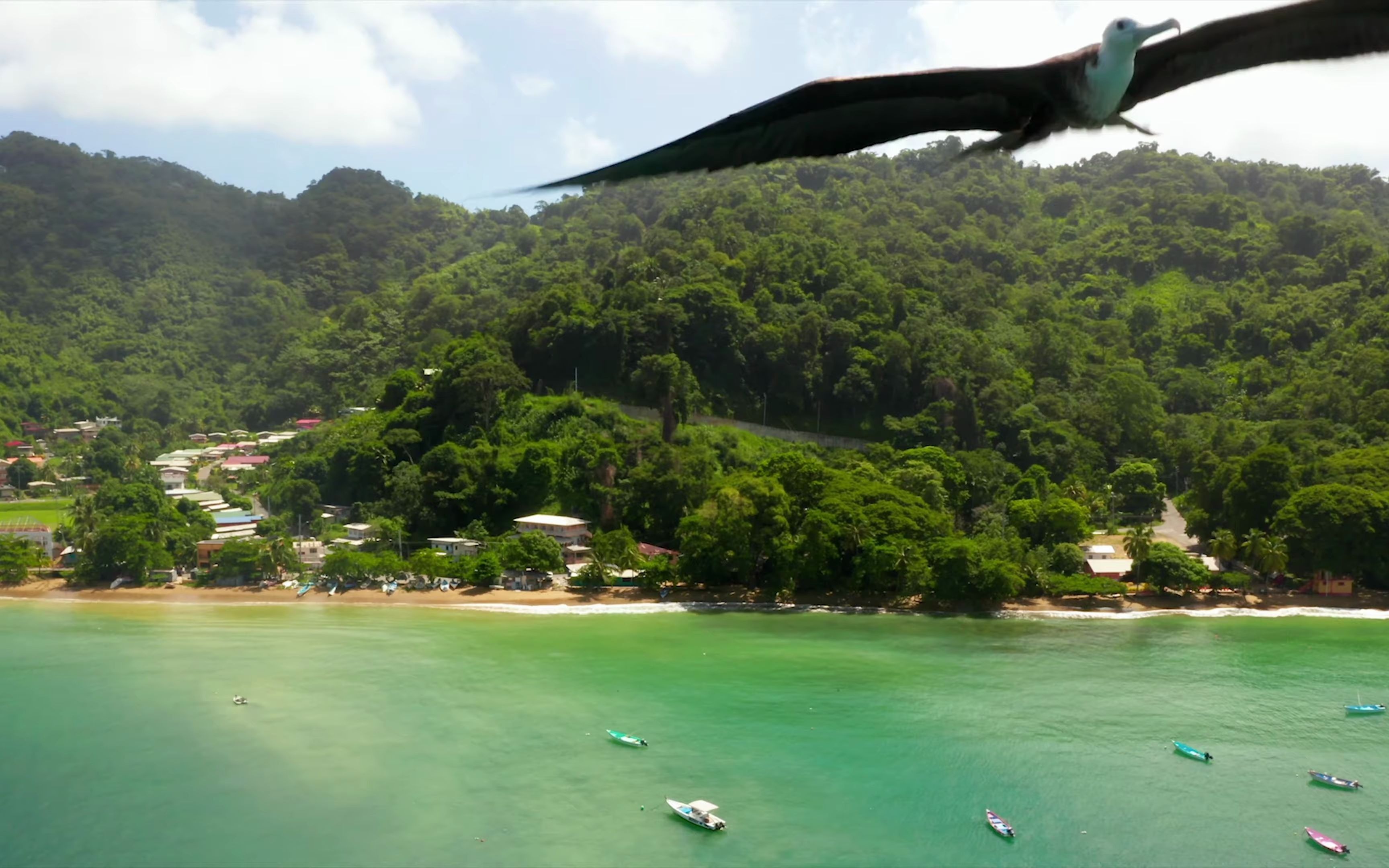 4k60帧镜头下的多米尼加