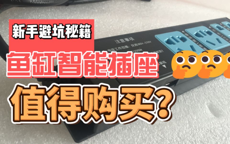 【养水专家-流氓技术】新手避坑之观赏鱼智能插座
