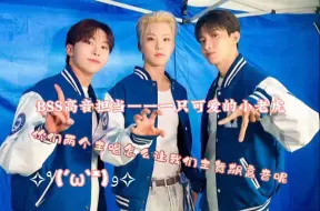 Download Video: 【夫硕顺BSS】唱高音的Hoshi(≧∇≦)/（每天靠seventeen的舞台续命）