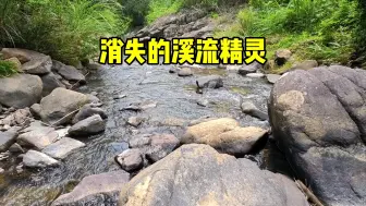 Video herunterladen: 消失的溪流精灵