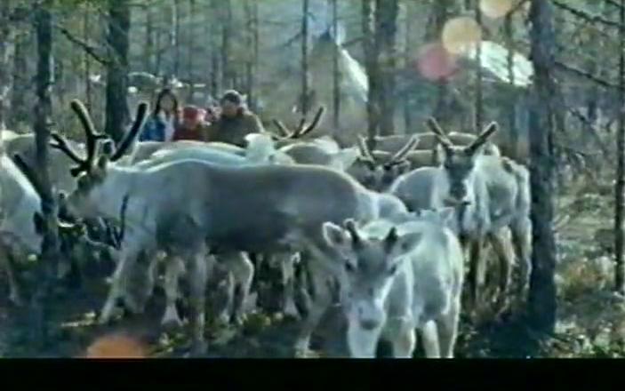 [图]【纪录片】神鹿呀，我们的神鹿 / Fading Reindeer Bell【1996】【中国大陆】