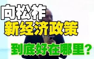 【向松祚】“新”经济政策到底好在哪里？