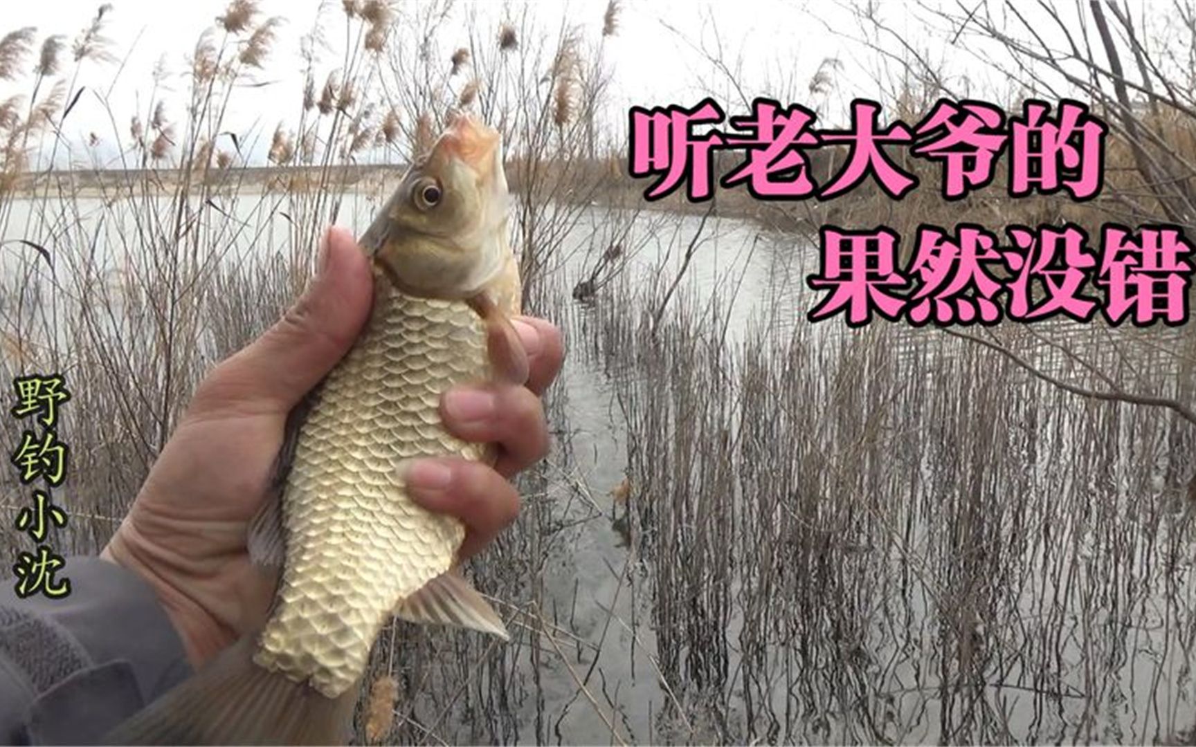 老大爷说这个荒废水库鱼很多一开始还半信半疑大爷果然靠谱