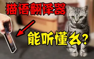 猫语翻译器_ 搜索结果_哔哩哔哩_Bilibili