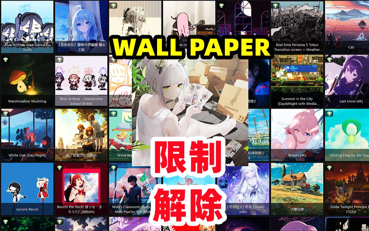 [图]WALLPAPER偏好限制解除【steam避免锁国区方法】