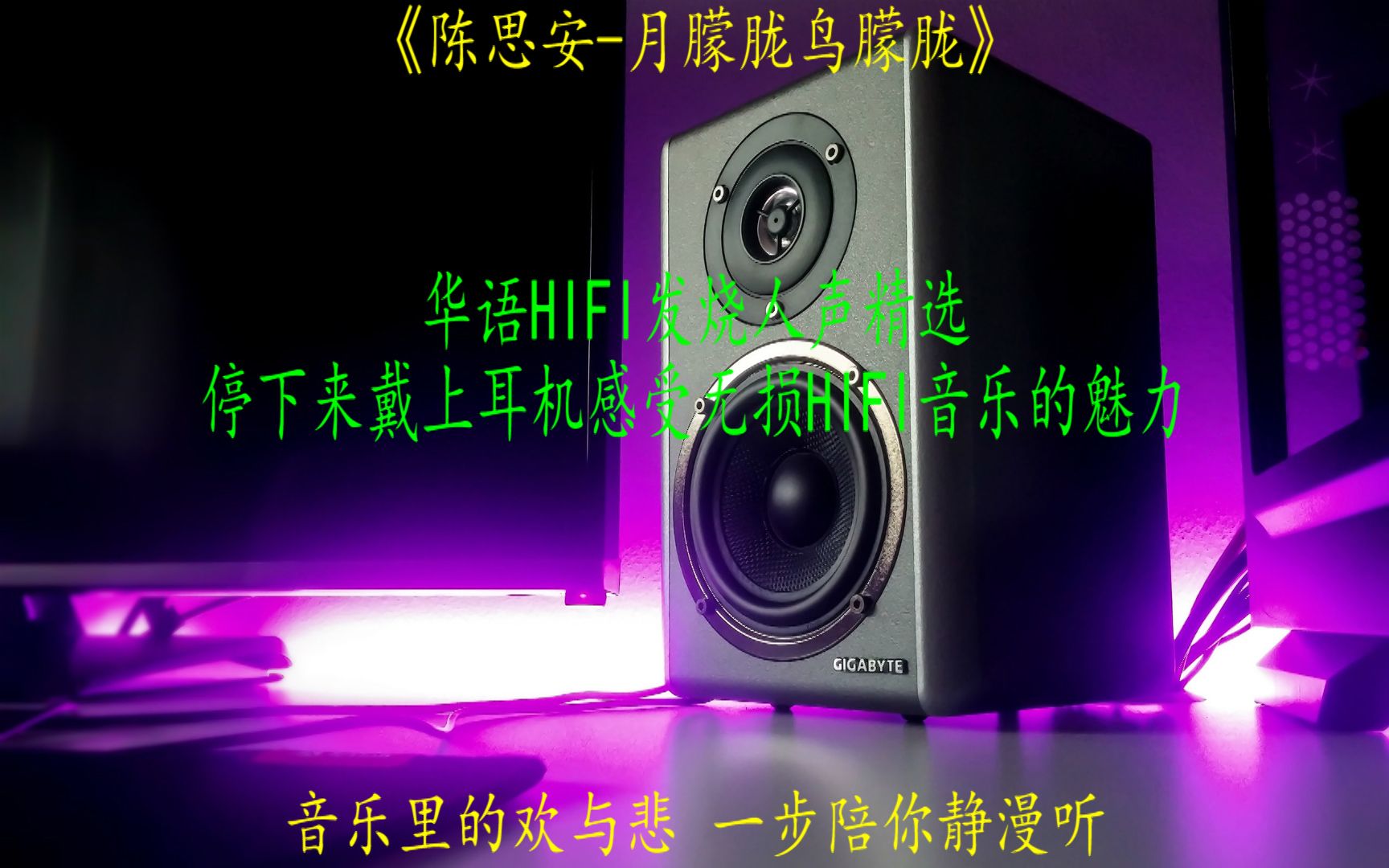 [图]华语HIFI发烧人声精选陈思安《月朦胧鸟朦胧》