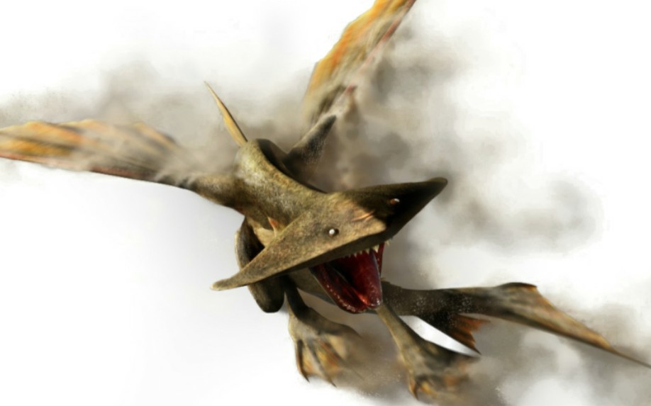 [怪物猎人xx]新手猎人xyz的开荒(沙龙王篇)