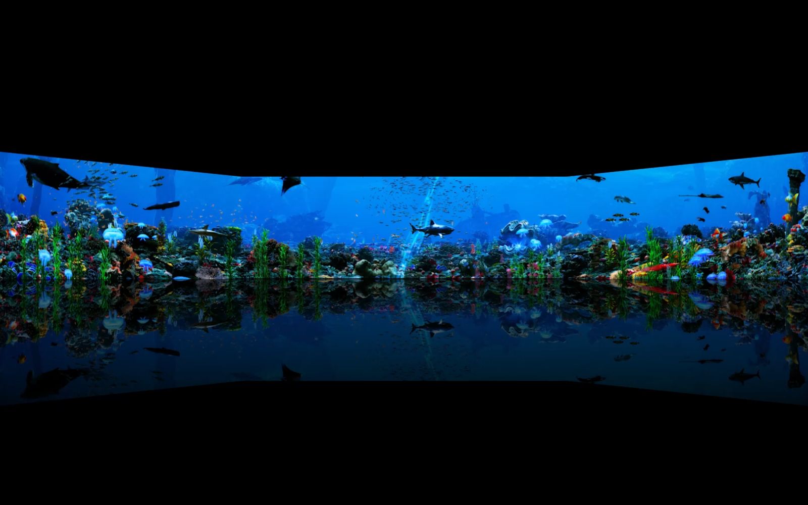 cave空间三折幕海底世界展示