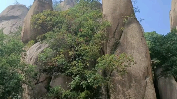 [图]最美故乡情，魅力嵖岈山