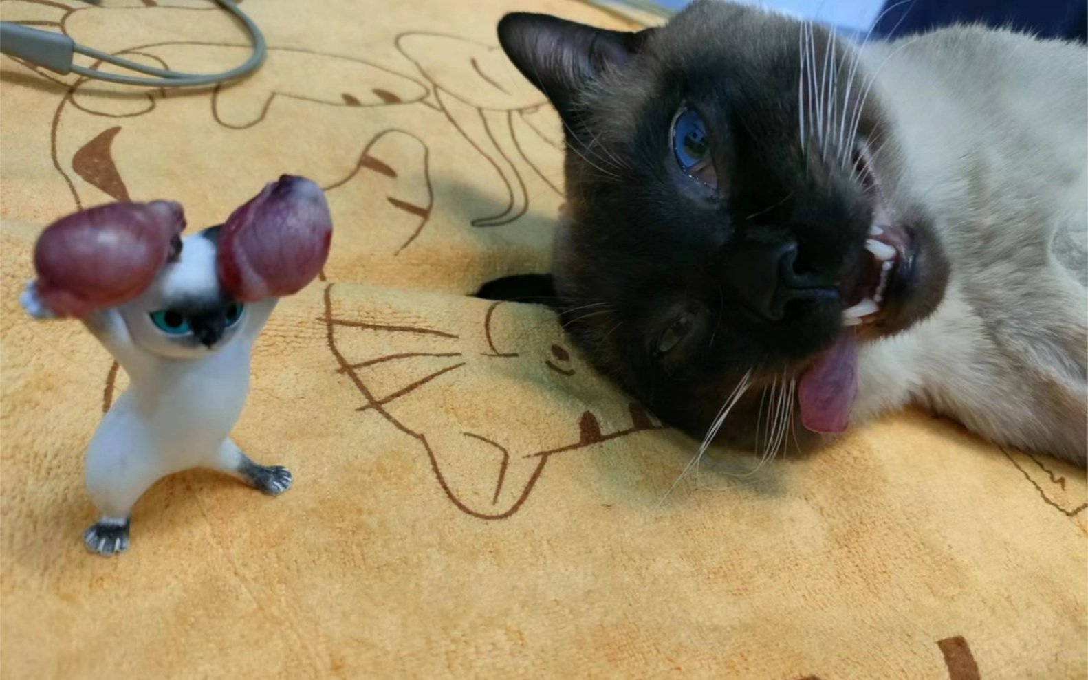 【暹罗】对蛋蛋进行了一个摘