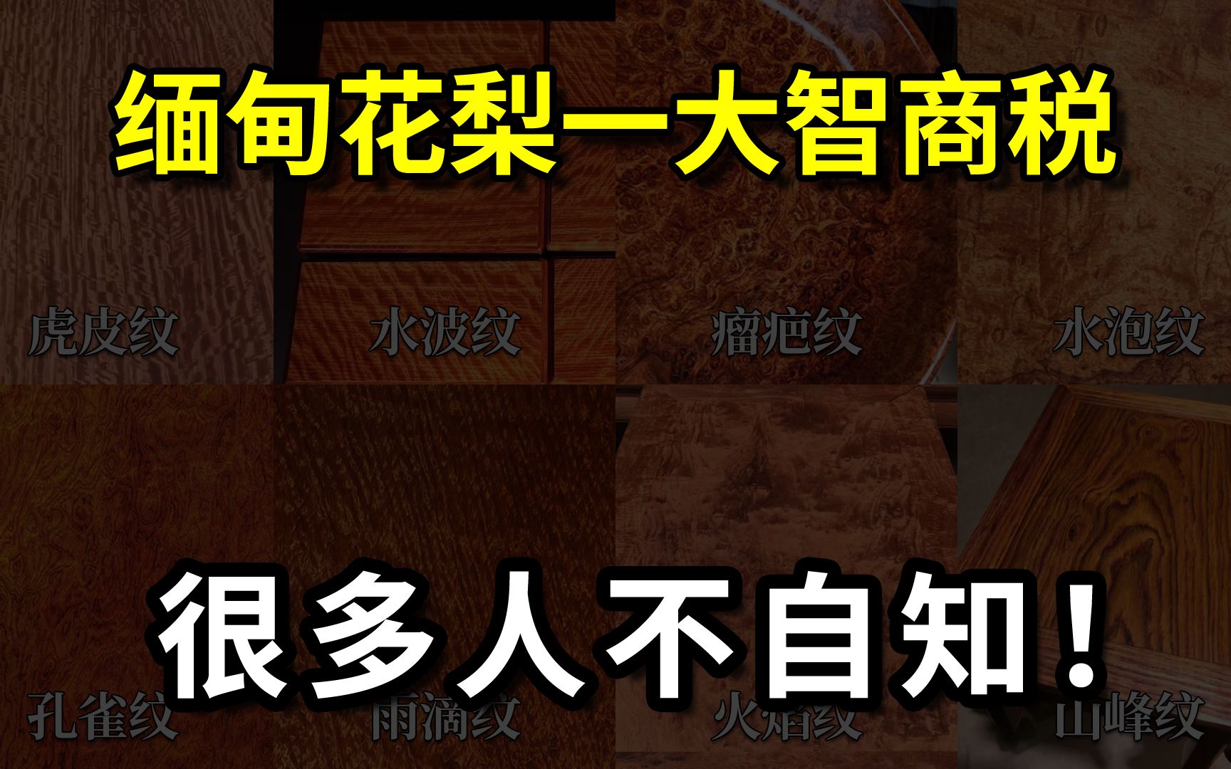 缅甸花梨一大智商税,很多人不自知,三十年河东三十年河西!哔哩哔哩bilibili