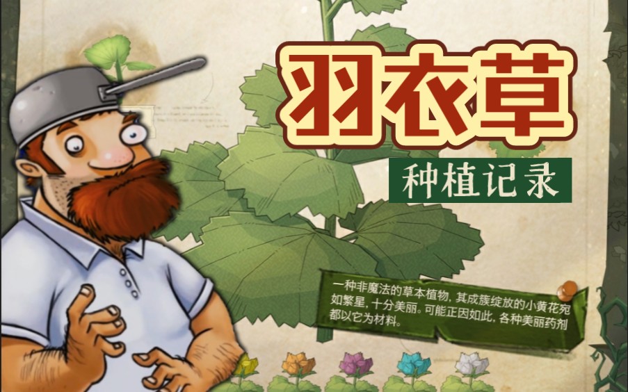 ✦魔法植物图鉴ⷮŠ羽衣草✦手机游戏热门视频