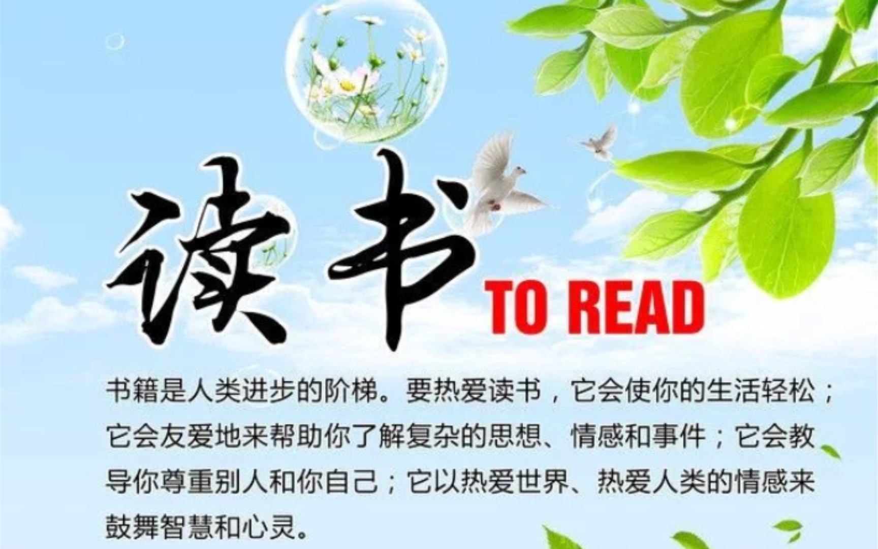 坚持读书第十二天给教师的建议12关于获取知识哔哩哔哩bilibili