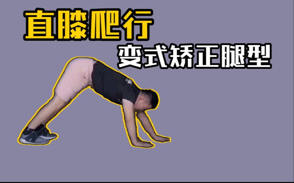 活动作品直膝爬行的变式