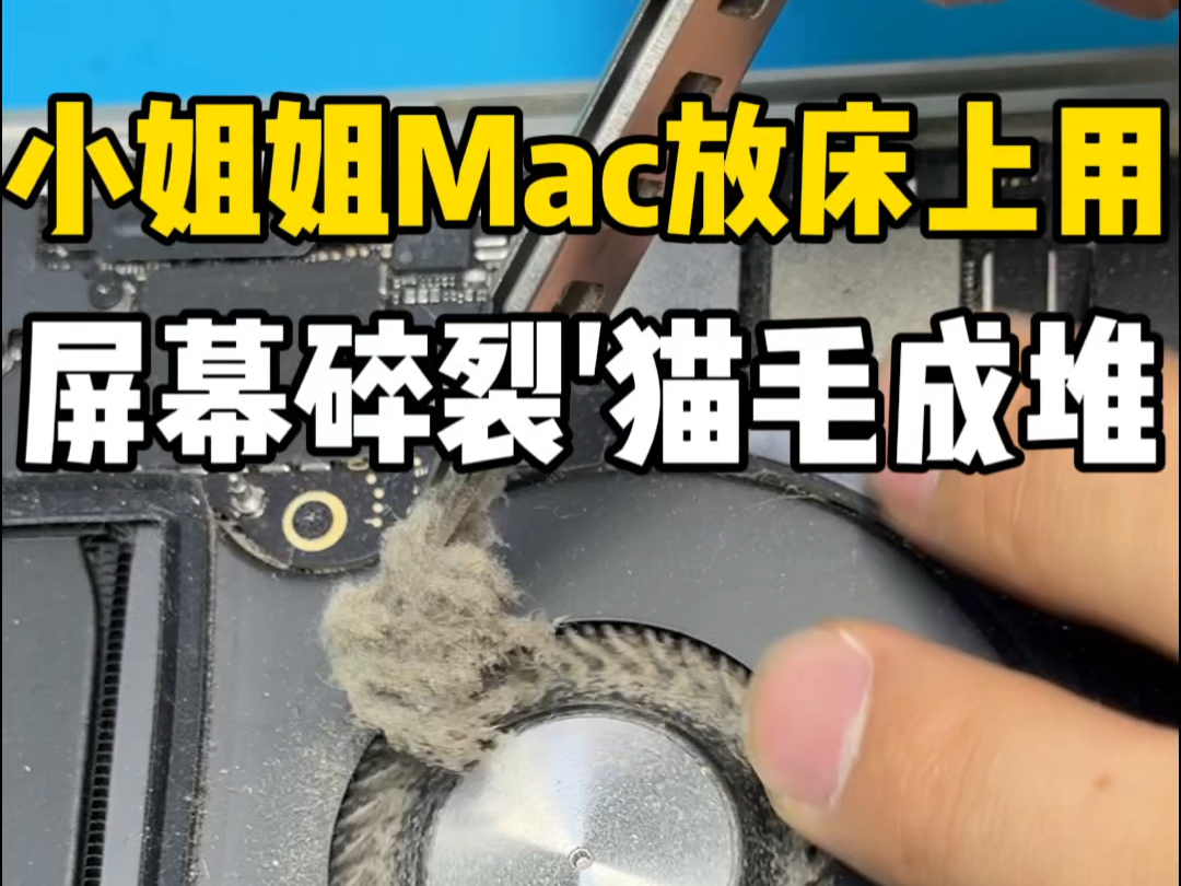 小姐姐16寸Macbookpro经常放在床上用,一看视频就发烫,屏幕突然就碎裂了,猫毛成堆堵死风扇,一点都不散热,怎么可能不烫呢?哔哩哔哩bilibili