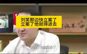 Descargar video: 党斐：刘笑那边一旦立案，他就得进去