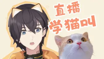 【KB呆又呆】直播学猫猫哈气，土橘猫原形毕露；讨论帮粿打架的原因