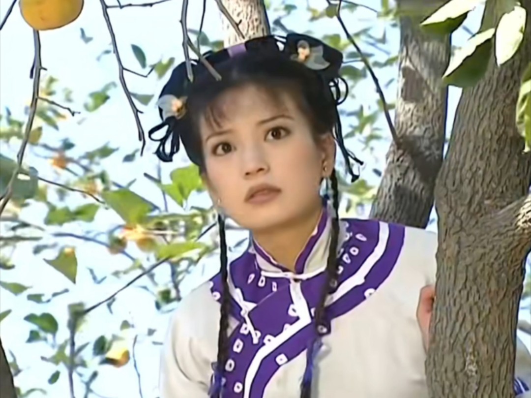 还珠格格第二部: 小燕子偷摘柿子