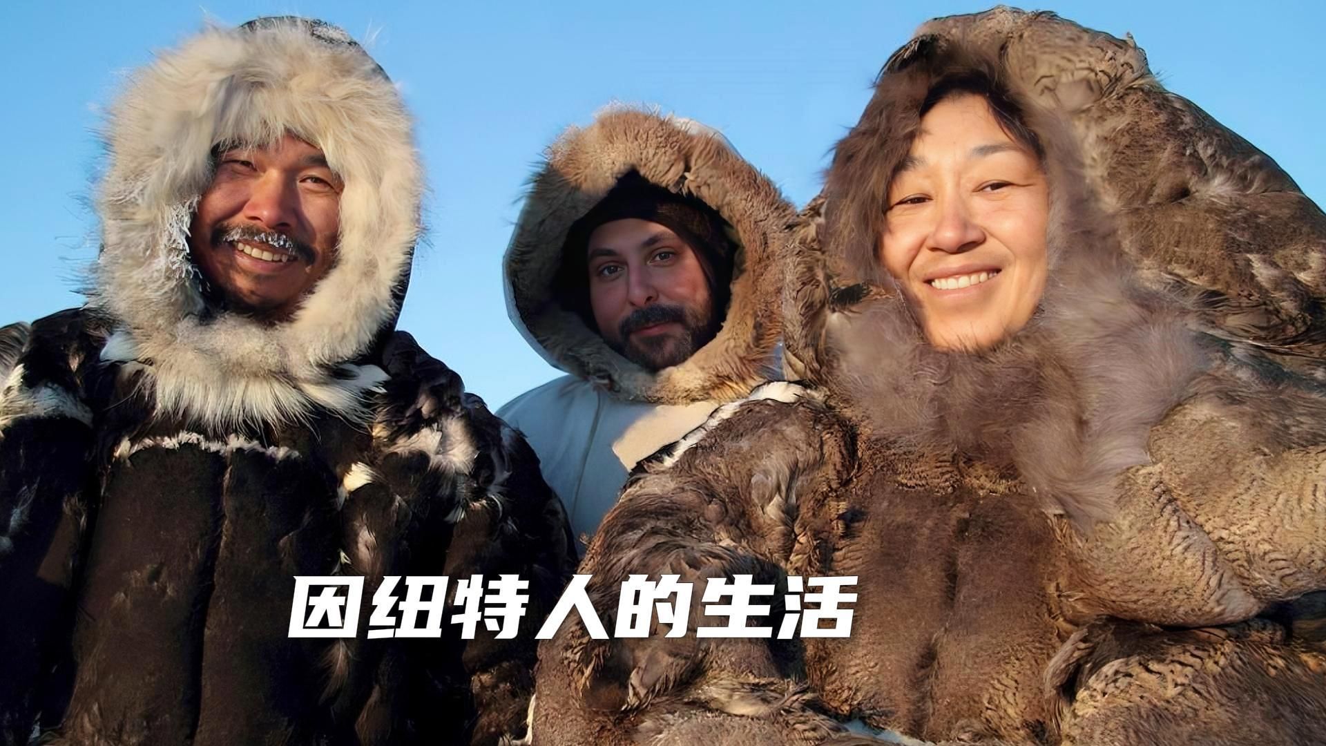 因纽特人吃生肉,住雪屋,捕海豹,抓海鸥 为了在极寒的北极生存下去
