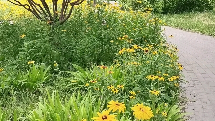 [图]大愿宏图急就章，风花雪月不还乡。流年一度随波浪，锦梦三番入洞房。雨散江湖衣释褐，缘来草木客留香。朦胧醉眼当垆侧，与子同吟九万觞。