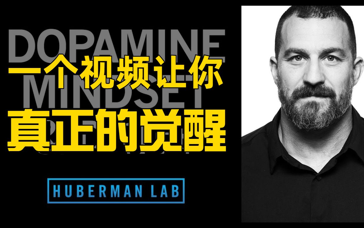 这将是你今年看过 最有价值的一个视频|HubermanLab学习系列1哔哩哔哩bilibili